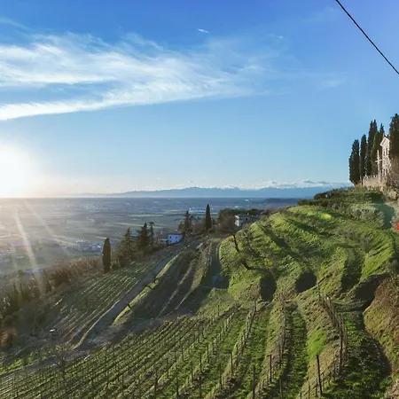 Buccara Due Del Monte