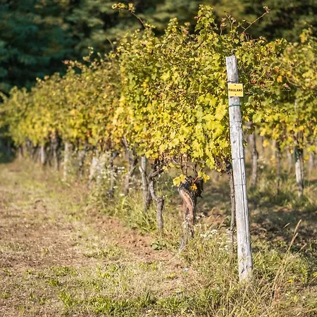 Bed & Breakfast Buccara Due Del Monte