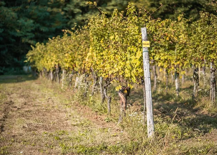 Bed and Breakfast Buccara Due Del Monte